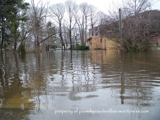 The Floods of 2010